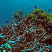 Great Barrier Reef