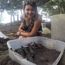Volunteer helps turtles in Costa Rica