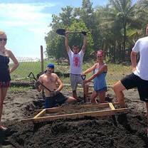 Turtle Rescue and Spanish Immersion Program in Costa Rica