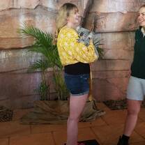 Australia Internship