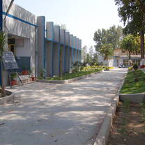School wakway