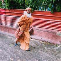 Cultural sights that volunteers see during project in India with The Tarzan Way