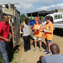Conducting surveys in the local community