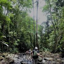 The river