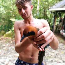 Bird research