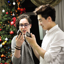 The New Year Celebration