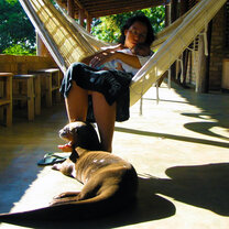 Conservation and Wildlife volunteering Giant River Otter