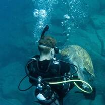 Diving with turtles on Boat Diver Specialty