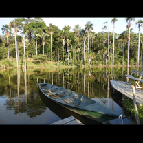 Lake with boat and trees