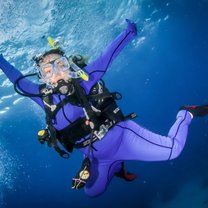 The Great Barrier Reef