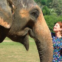 Me with an elephant on the excursion CISabroad planned for us to Chiang Mai