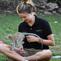 Primate conservation