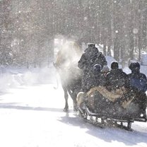 going for a ride in the Siberian wild