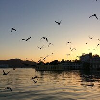 Udaipur Lake  Udaipur Lake