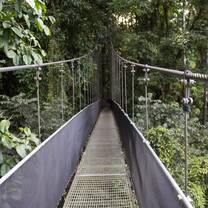 Hanging Bridge