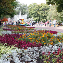 Shevchenkogarden 