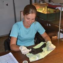 Wildlife volunteering Canada 