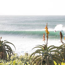 VGY - Classic Jbay
