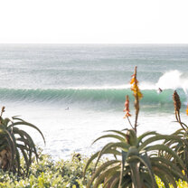 VGY - Classic Jbay