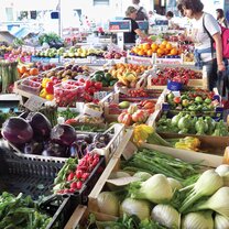 Study & Intern in Florence Fresh produce in a local market.