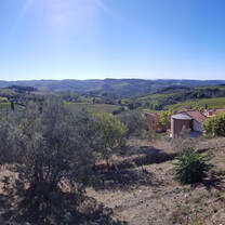 Beautiful vineyard views in Tuscany, Italy