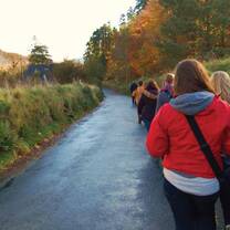 Students walking down a road in the forest. 