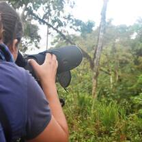 Counting birds during biological internship Ecuador