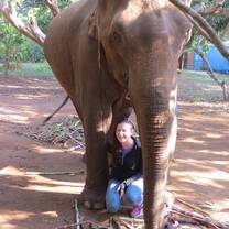 A female student smiling with an elephant. 