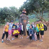 Students gathered around an elephant smiling and holding the UofM flag. 