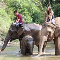 Two students riding elephants with a baby elephant nearby. 