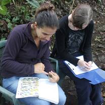 Bird Identification Biological Internship Ecuador