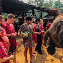 Elephant Sanctuary