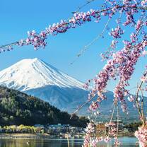 Explore the culture of 14 Asian and European cities