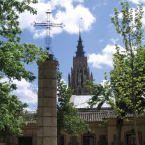 Study & Intern in Toledo Trees with a tower in the distance.