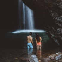 Springbrook National Park