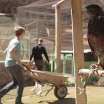 Animal Sanctuary