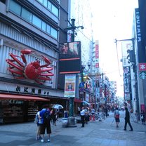 Giant crab