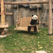 I loved every activity that I did in my time in China.