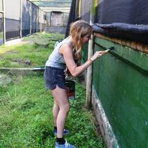 Wildlife conservation volunteering in South Africa