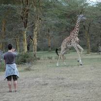 Get up close to wildlife in Uganda