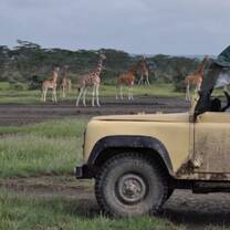 Go on safari during your gap year in Malawi