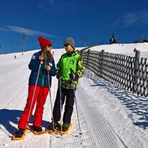 Snow-shoeing