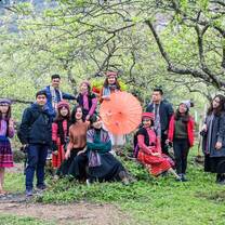 group in trees