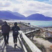 An extremely windy day out to see the wild colony of African Penguins in Betty's Bay.