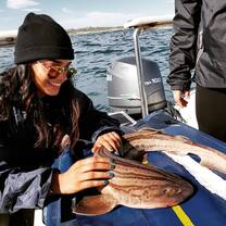 The first shark I ever caught, measuring around 3-foot long