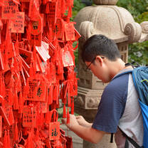 Enjoyable Cultural Field Trip - Chinese Summer Camp