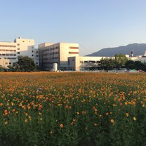 A field behind my apartment building