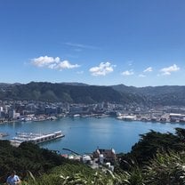 View of Wellington from Mount Victoria 
