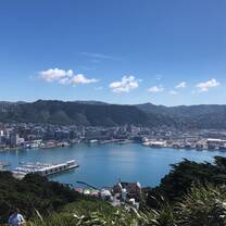 View of Wellington from Mount Victoria 