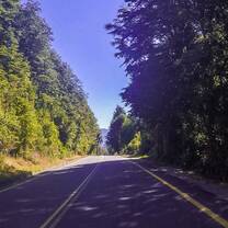 ruta 40